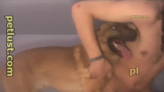 Two Boys With Malinois - Pet Lust - P129