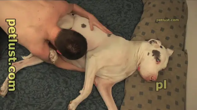 Oral Greta - PetLust - P245