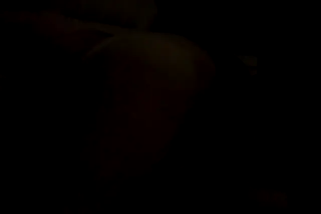 From Down Under - Caledonian NV