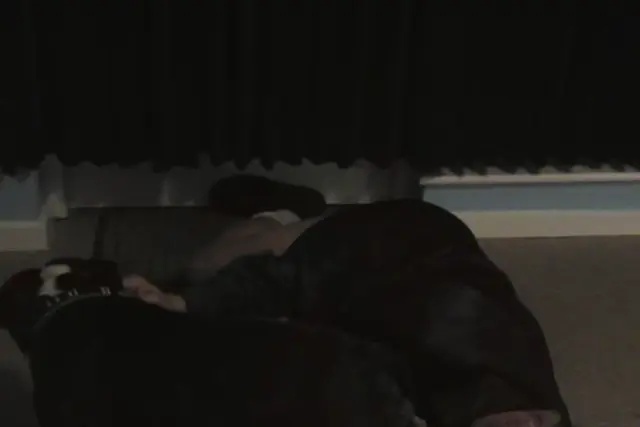 Ray Loves His Bulldog Lover - Caledonian NV