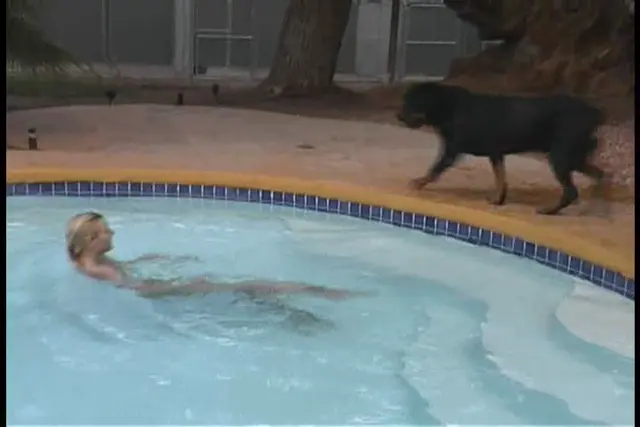Pool Dog - Caledonian NV