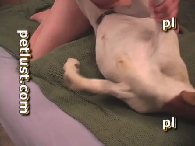 Doe Goat Heat - P520 - Pet Lust