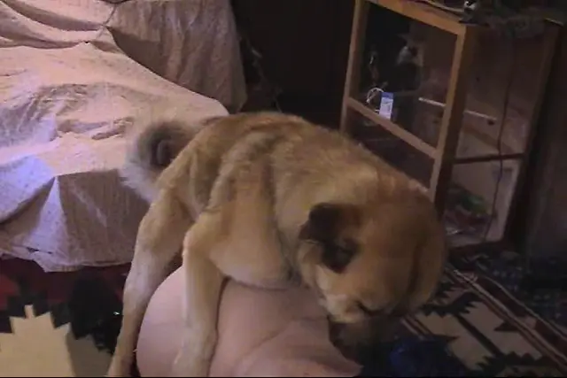 Sabrinas First Time - Caledonian NV