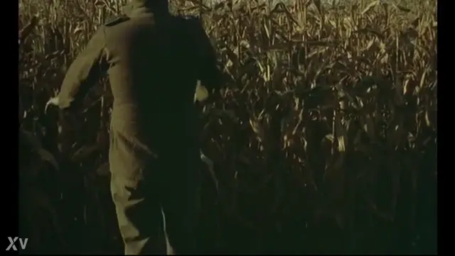 Zombie Lake: Sexy Topless Girl Outdoor Bath