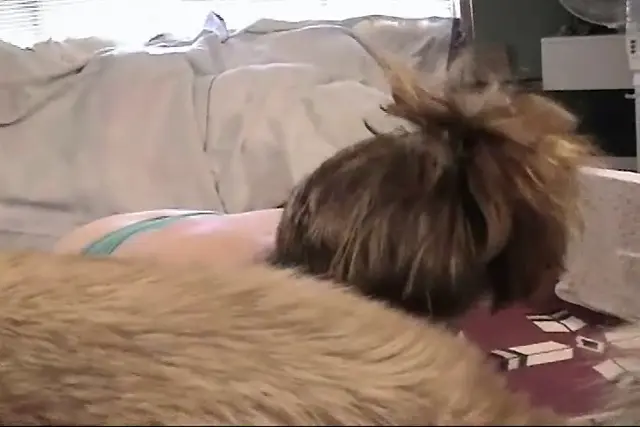 Playing with Dino and Scoop - Caledonian NV