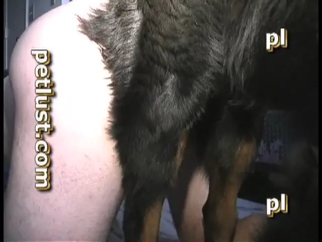 Top To Bottom - PB111 PetLust