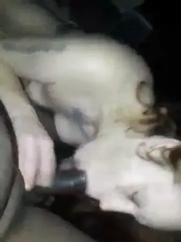 Exploring the Wild Side: Meet the Charming City Slut from Flint, MI | GS Tag