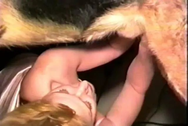 Laila Really Loves Dogs - Caledonian NV