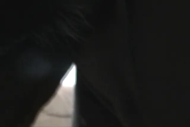 Wonderfull Knot - Caledonian NV