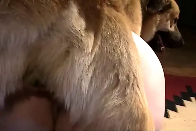 Sabrina and Shawn - Caledonian NV