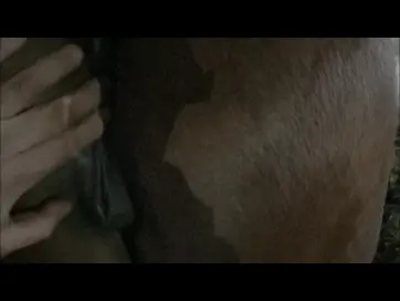 3 Chestnut Christmas Mares - un-rushed daytime Lifting tails, fingering, peeing, winking, fisting