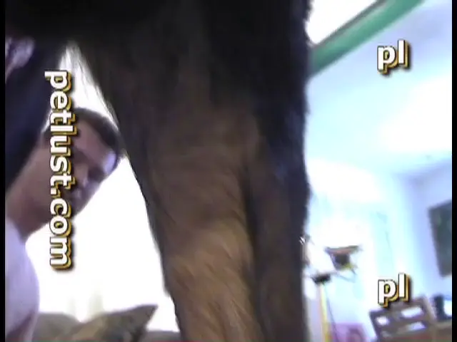 Neo Time - PC120 - PetLust