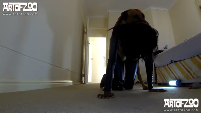 Into Money Penny - Art of Zoo - Money Penny